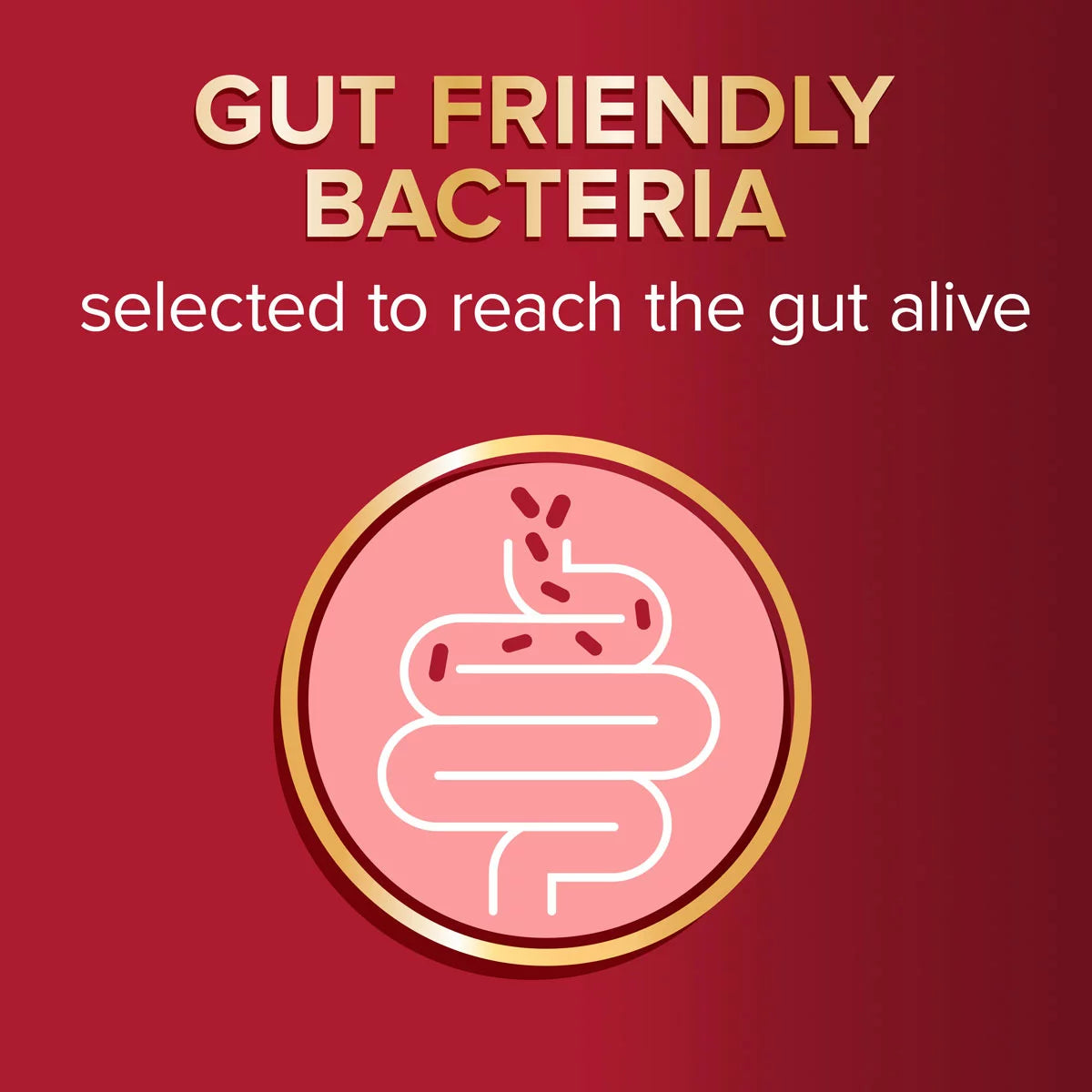 Seven Seas Omega 3 and Gut Friendly Bacteria, 3 x 30 Count